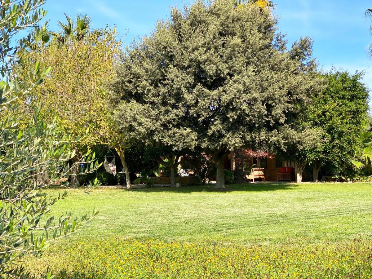 Sa Maiola-swimming Pool-5min From Centre Ferienhaus *